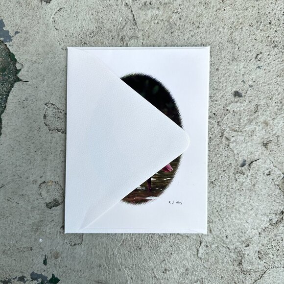 Roseate Spoonbill Bird Notecard by RJ Wiley - Picture 4 of 12